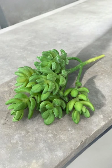 YAPAY ÇİÇEKÇİNİZ Gerçek Dokulu Yapay Kaktüs Sukulent - Resim 2