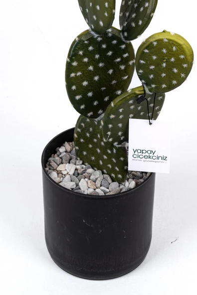 YAPAY ÇİÇEKÇİNİZ Taş Kaplı Siyah Saksısında Yapay Texas Kaktüs - Resim 3