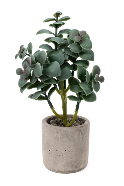 YAPAY ÇİÇEKÇİNİZ Beton Saksıda Yapay Kaktüs ürün görseli 1