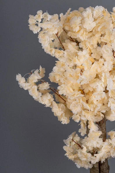 Beyaz Saksıda 100 Cm Bahar Dalı Ağacı - Resim 11