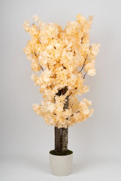 Beyaz Saksıda 100 Cm Bahar Dalı Ağacı - Resim 6