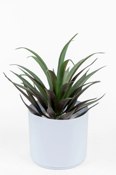 YAPAY ÇİÇEKÇİNİZ Beyaz Renkli Saksıda Yapay Kaktüs Sukulent - Resim 3