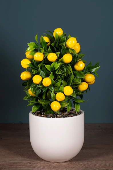 YAPAY ÇİÇEKÇİNİZ Beyaz Beton Saksıda Yapay Limon Ağacı - Resim 2