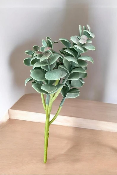 YAPAY ÇİÇEKÇİNİZ Gerçek Dokulu Yapay Kaktüs Sukulent - Resim 2