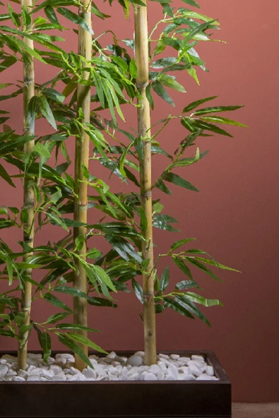 140 Cm Bambu Seperatör - Resim 3