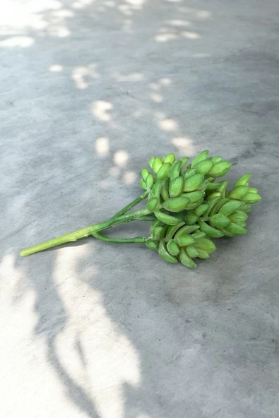 YAPAY ÇİÇEKÇİNİZ Gerçek Dokulu Yapay Kaktüs Sukulent - Resim 4