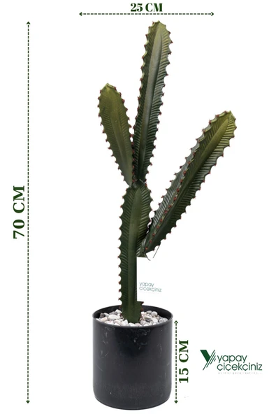 YAPAY ÇİÇEKÇİNİZ Taş Kaplı Siyah Saksısında Yapay Texas Kaktüs ürün görseli 1