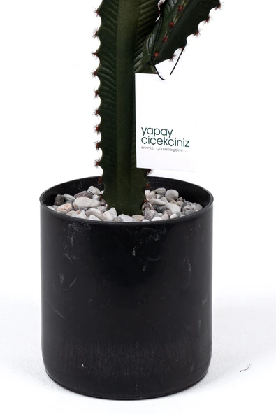 YAPAY ÇİÇEKÇİNİZ Taş Kaplı Siyah Saksısında Yapay Texas Kaktüs - Resim 3
