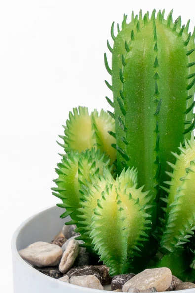 YAPAY ÇİÇEKÇİNİZ Beyaz Renkli Saksıda Yapay Kaktüs Sukulent - Resim 2