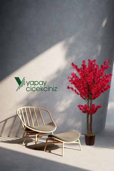 Turuncu Naturel Pampas 16 Adet - Resim 4