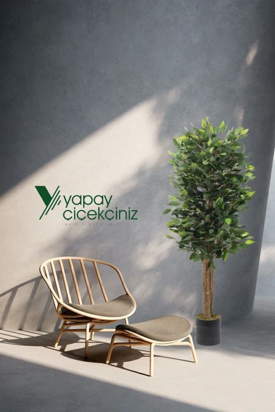 YAPAY ÇİÇEKÇİNİZ Siyah Saksıda Yoğun Yapraklı 150 Cm Yapay Benjamin Ağacı - 4