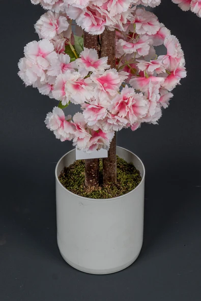 Beyaz Saksıda 100 Cm Bahar Dalı Ağacı - Resim 5