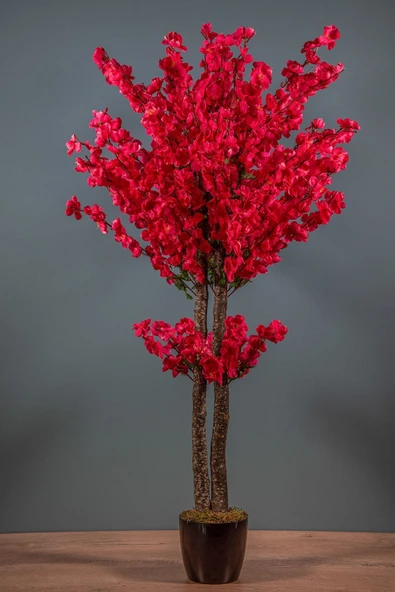 Turuncu Naturel Pampas 16 Adet ürün görseli 1