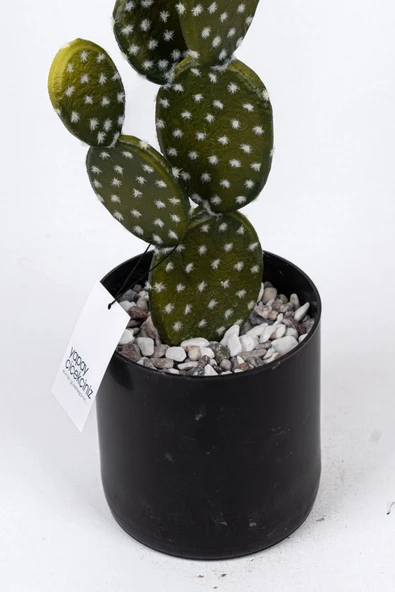 YAPAY ÇİÇEKÇİNİZ Taş Kaplı Siyah Saksısında Yapay Texas Kaktüs - Resim 5