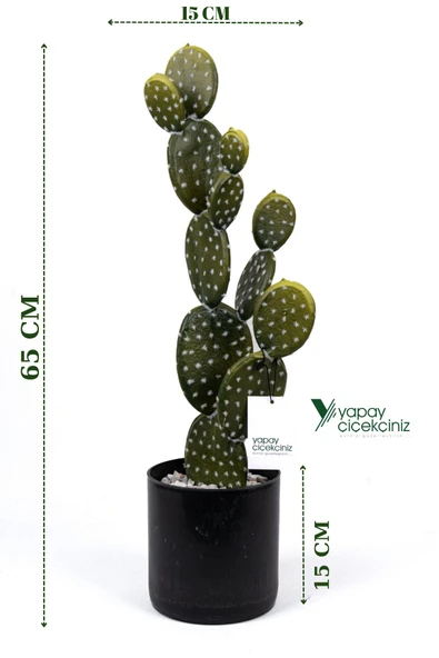 YAPAY ÇİÇEKÇİNİZ Taş Kaplı Siyah Saksısında Yapay Texas Kaktüs ürün görseli 1