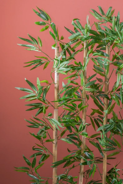 140 Cm Bambu Seperatör - Resim 7