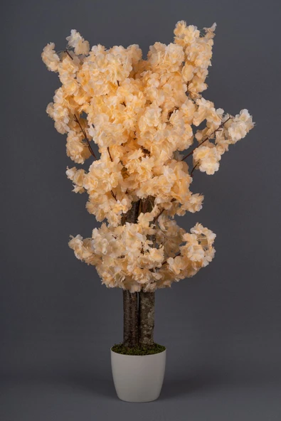 Beyaz Saksıda 100 Cm Bahar Dalı Ağacı - Resim 8