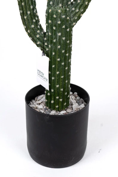 YAPAY ÇİÇEKÇİNİZ Taş Kaplı Siyah Saksısında Yapay Texas Kaktüs - Resim 5