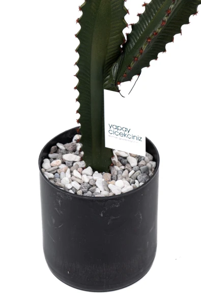 YAPAY ÇİÇEKÇİNİZ Taş Kaplı Siyah Saksısında Yapay Texas Kaktüs - Resim 5
