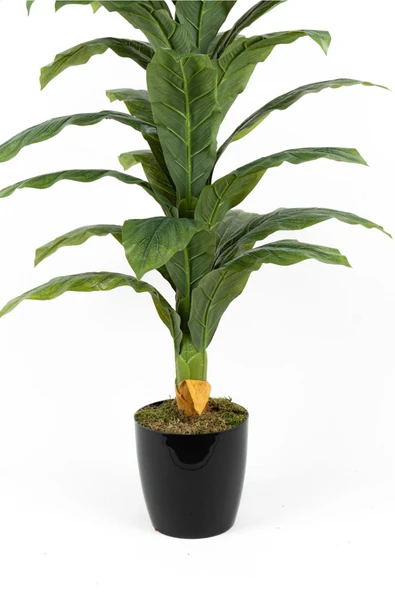 YAPAY ÇİÇEKÇİNİZ Siyah Saksıda Çim Detaylı Büyük Yapraklı Yapay Difenbahya Ağacı 180 Cm - Resim 3