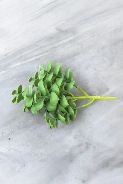 YAPAY ÇİÇEKÇİNİZ Gerçek Dokulu Yapay Kaktüs Sukulent - Resim 4