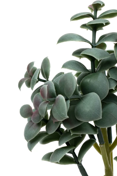 YAPAY ÇİÇEKÇİNİZ Beton Saksıda Yapay Kaktüs - Resim 2