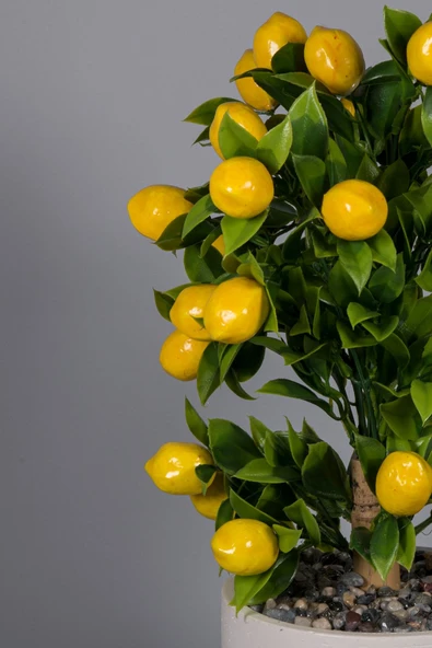 YAPAY ÇİÇEKÇİNİZ Beyaz Beton Saksıda Yapay Limon Ağacı - Resim 4