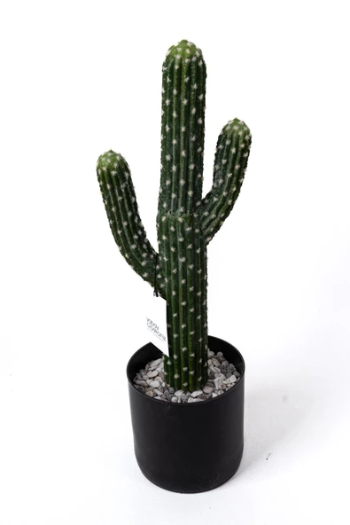 YAPAY ÇİÇEKÇİNİZ Taş Kaplı Siyah Saksısında Yapay Texas Kaktüs - Resim 6