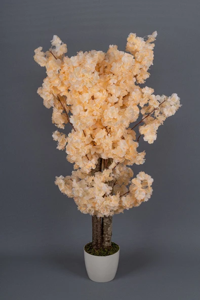 Beyaz Saksıda 100 Cm Bahar Dalı Ağacı - Resim 9