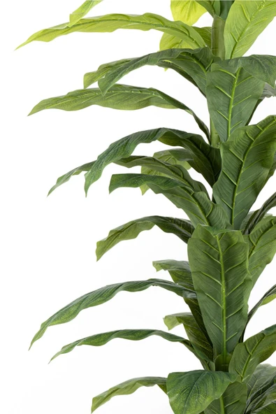 YAPAY ÇİÇEKÇİNİZ Siyah Saksıda Çim Detaylı Büyük Yapraklı Yapay Difenbahya Ağacı 180 Cm - Resim 4