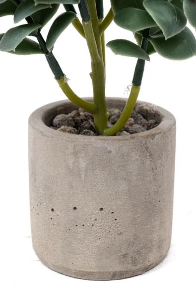 YAPAY ÇİÇEKÇİNİZ Beton Saksıda Yapay Kaktüs - Resim 3