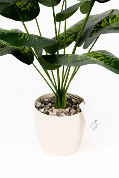 YAPAY ÇİÇEKÇİNİZ Taş Detaylı Beyaz Saksıda 12 Yapraklı 50 cm Yapay Salon Çiçeği - 4