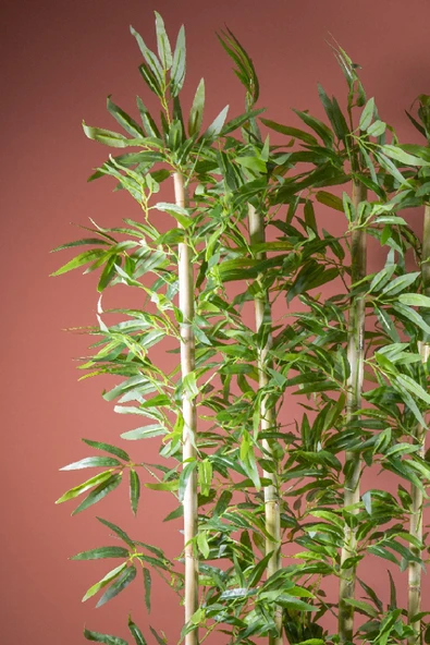 140 Cm Bambu Seperatör - Resim 2