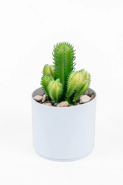 YAPAY ÇİÇEKÇİNİZ Beyaz Renkli Saksıda Yapay Kaktüs Sukulent ürün görseli 1