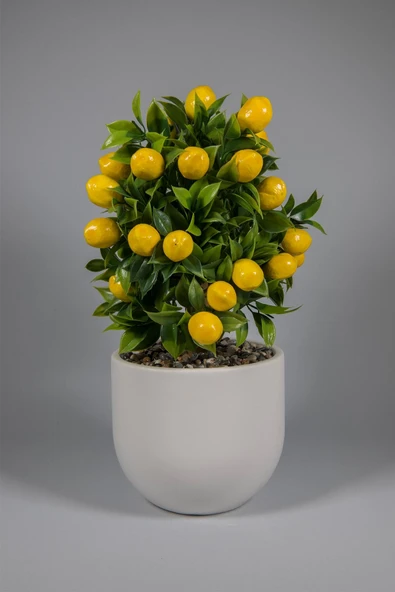 YAPAY ÇİÇEKÇİNİZ Beyaz Beton Saksıda Yapay Limon Ağacı ürün görseli 1
