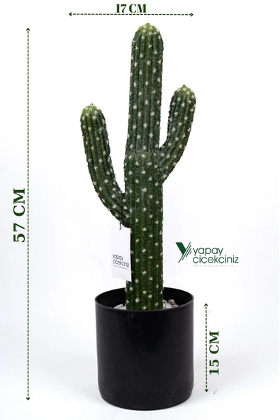 YAPAY ÇİÇEKÇİNİZ Taş Kaplı Siyah Saksısında Yapay Texas Kaktüs ürün görseli 1