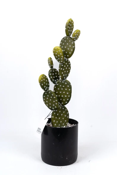 YAPAY ÇİÇEKÇİNİZ Taş Kaplı Siyah Saksısında Yapay Texas Kaktüs - Resim 2