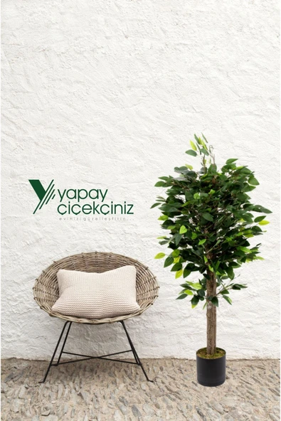 YAPAY ÇİÇEKÇİNİZ Gri Saksıda Çim Detaylı Yoğun Yapraklı 100 Cm Yapay Benjamin Ağacı - Resim 4