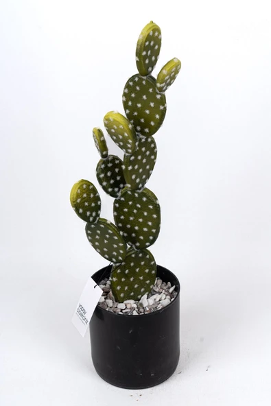 YAPAY ÇİÇEKÇİNİZ Taş Kaplı Siyah Saksısında Yapay Texas Kaktüs - Resim 4