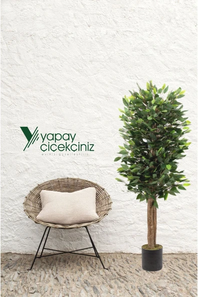 YAPAY ÇİÇEKÇİNİZ Siyah Saksıda Yoğun Yapraklı 150 Cm Yapay Benjamin Ağacı - 3
