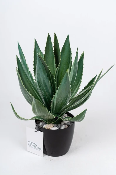 YAPAY ÇİÇEKÇİNİZ Taş Detaylı Siyah Saksıda Yapay Kaktüs Demeti ürün görseli 1