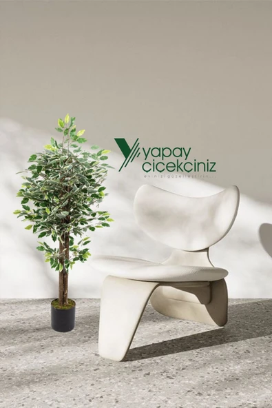 YAPAY ÇİÇEKÇİNİZ 120 Cm Yeşil Beyaz Yapay Benjamin Ağacı - Resim 2