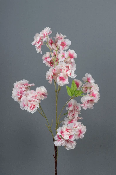 Yapay Lüks Bahardalı - Resim 11