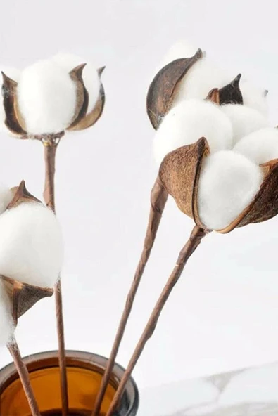 YAPAY ÇİÇEKÇİNİZ Büyük Doğal Pamuk Demeti 10'lu ürün görseli 1