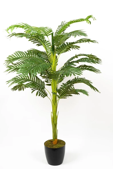 YAPAY ÇİÇEKÇİNİZ 130 Cm Yapay Areka Ağacı 22 Dallı - Resim 2