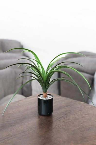 YAPAY ÇİÇEKÇİNİZ TAŞ KAPLI SİYAH RENKLİ SAKSIDA 55 CM YAPAY YUKA AĞACI - Resim 2