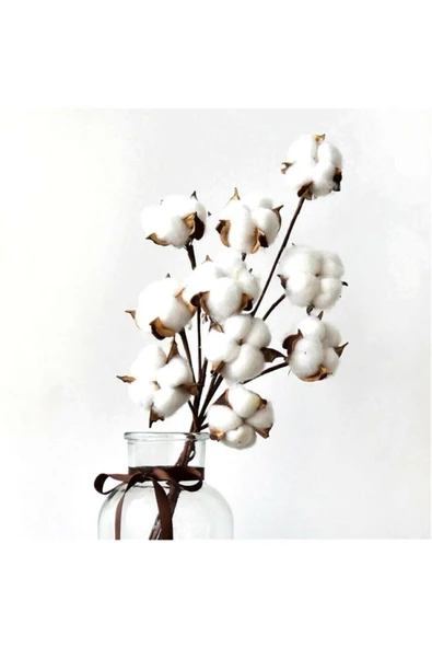 YAPAY ÇİÇEKÇİNİZ Büyük Doğal Pamuk Demeti 10'lu - Resim 3