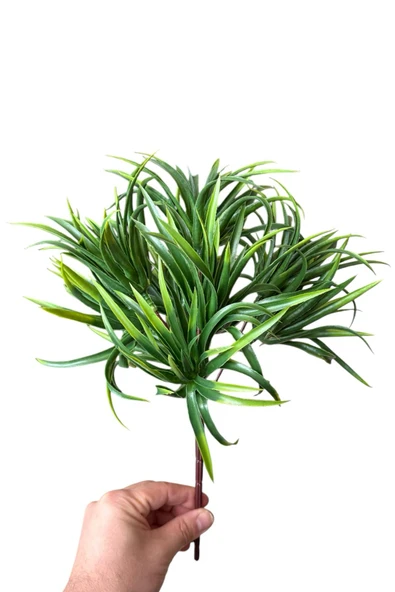 YAPAY ÇİÇEKÇİNİZ 9 KAFALI 5 DALLI YAPAY SUKULENT KAKTÜS ALOEVERA DEMETİ - Resim 6