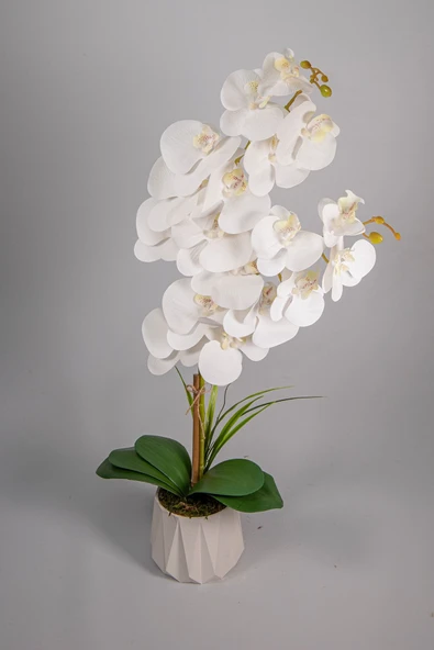 YAPAY ÇİÇEKÇİNİZ Seramik Saksıda 2 Dal Beyaz Islak Orkide - Resim 2