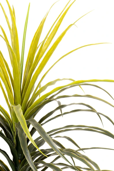 YAPAY ÇİÇEKÇİNİZ Taş Detaylı Siyah Renkli Saksıda 110 cm Yapay Yuka Dragon Ağacı - Resim 3